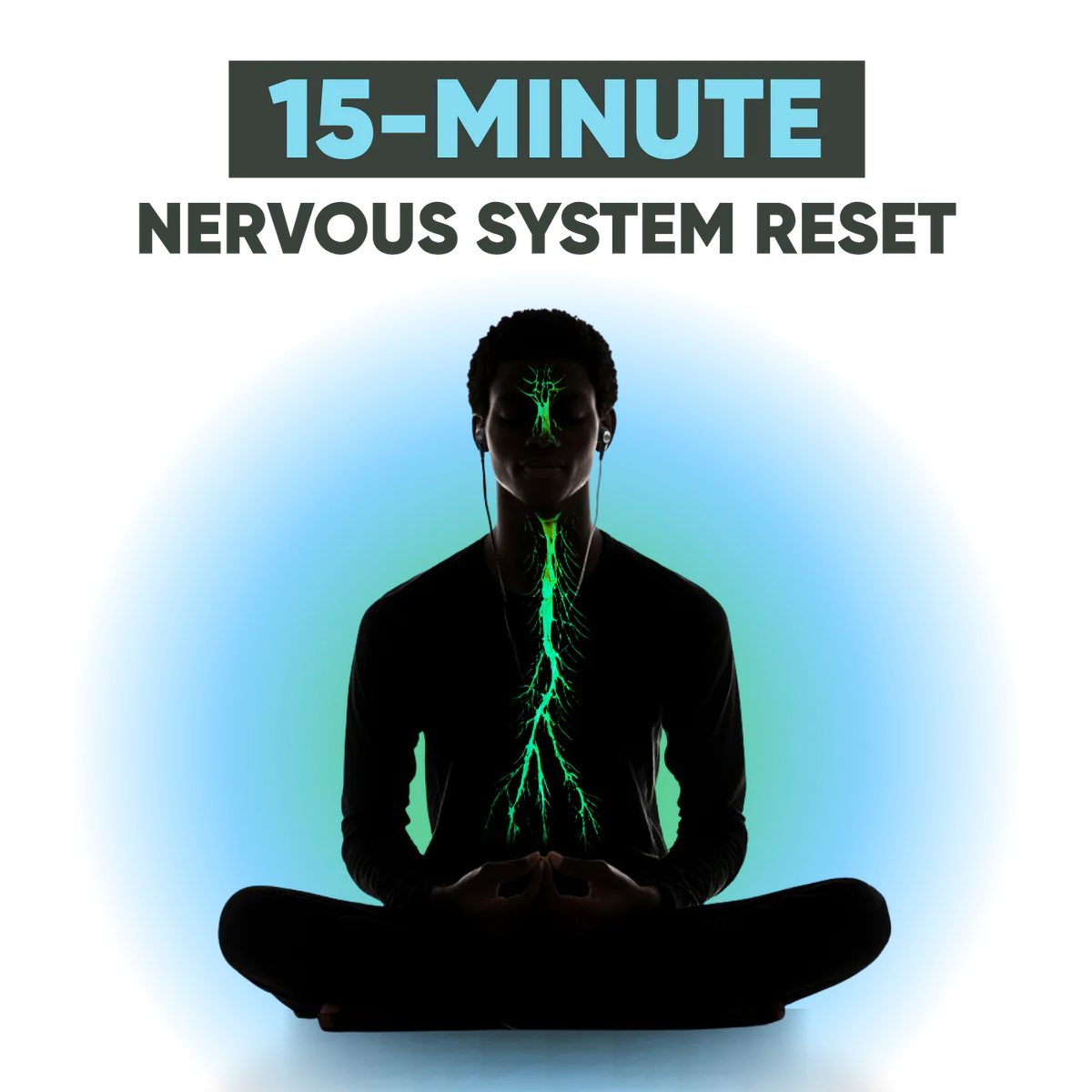 Neurva™ Vagus Nerve Stimulator